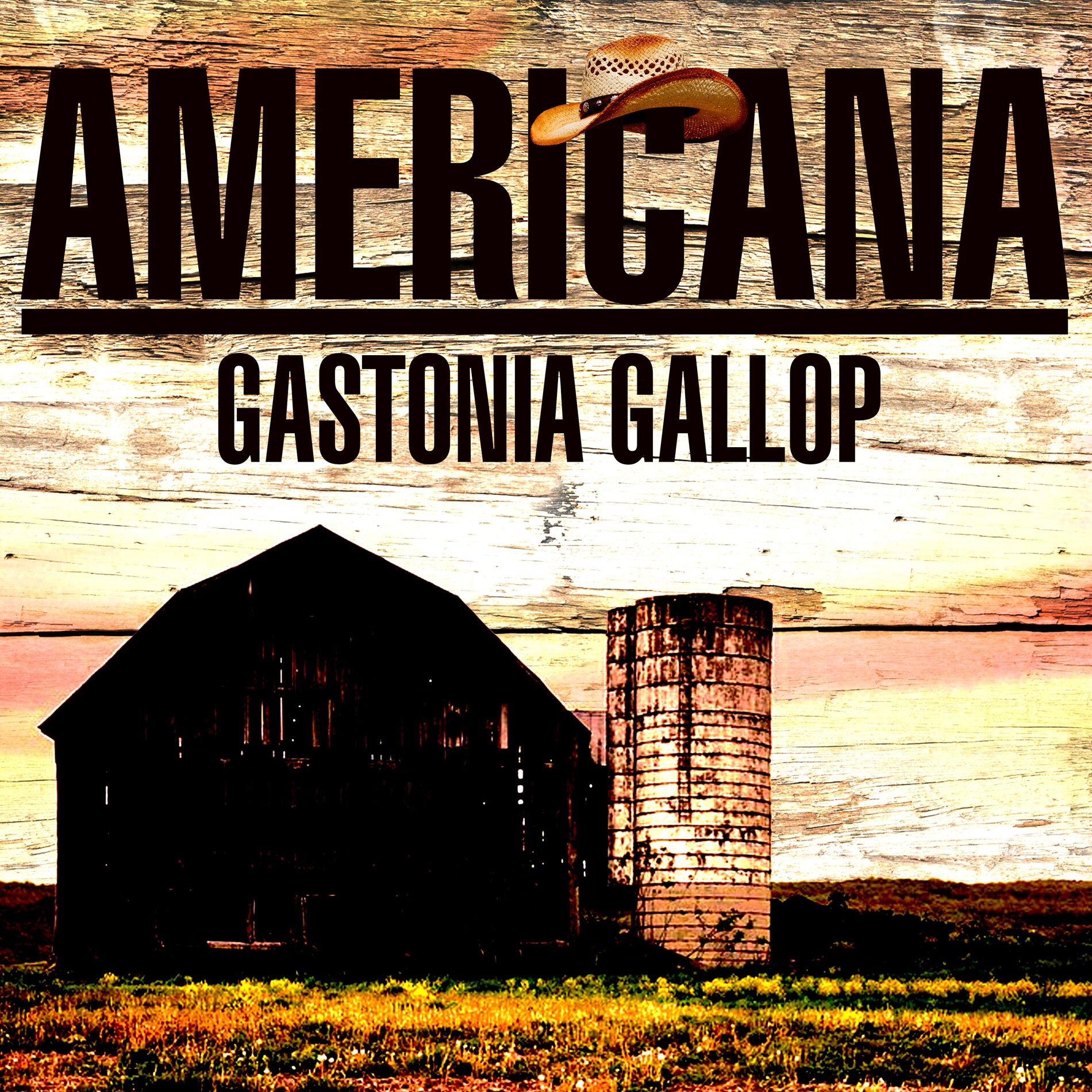 Album cover of Americana - Gastonia Galop