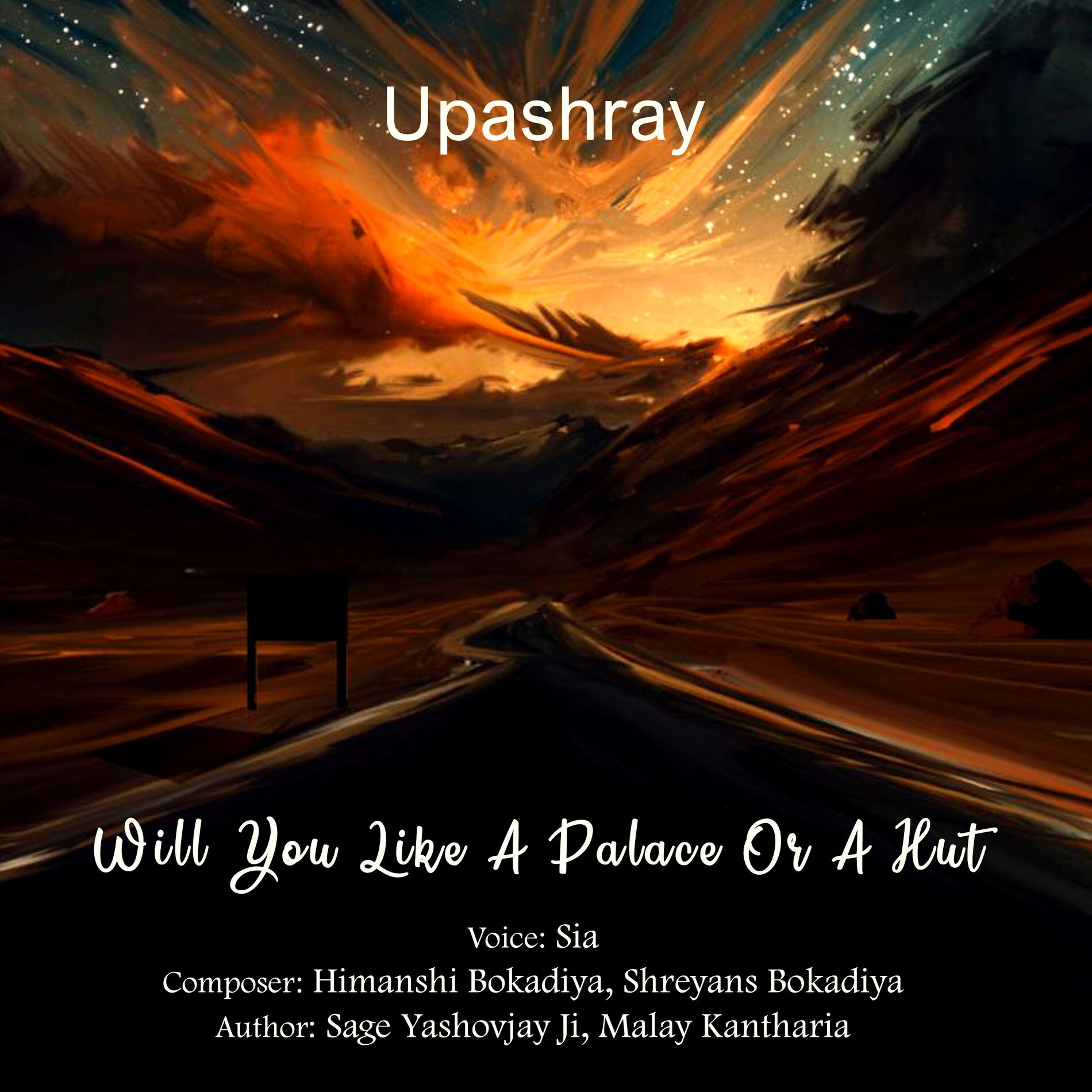 Album cover of Will You Like A Palace Or A Hut (Salvation Express With Sia)