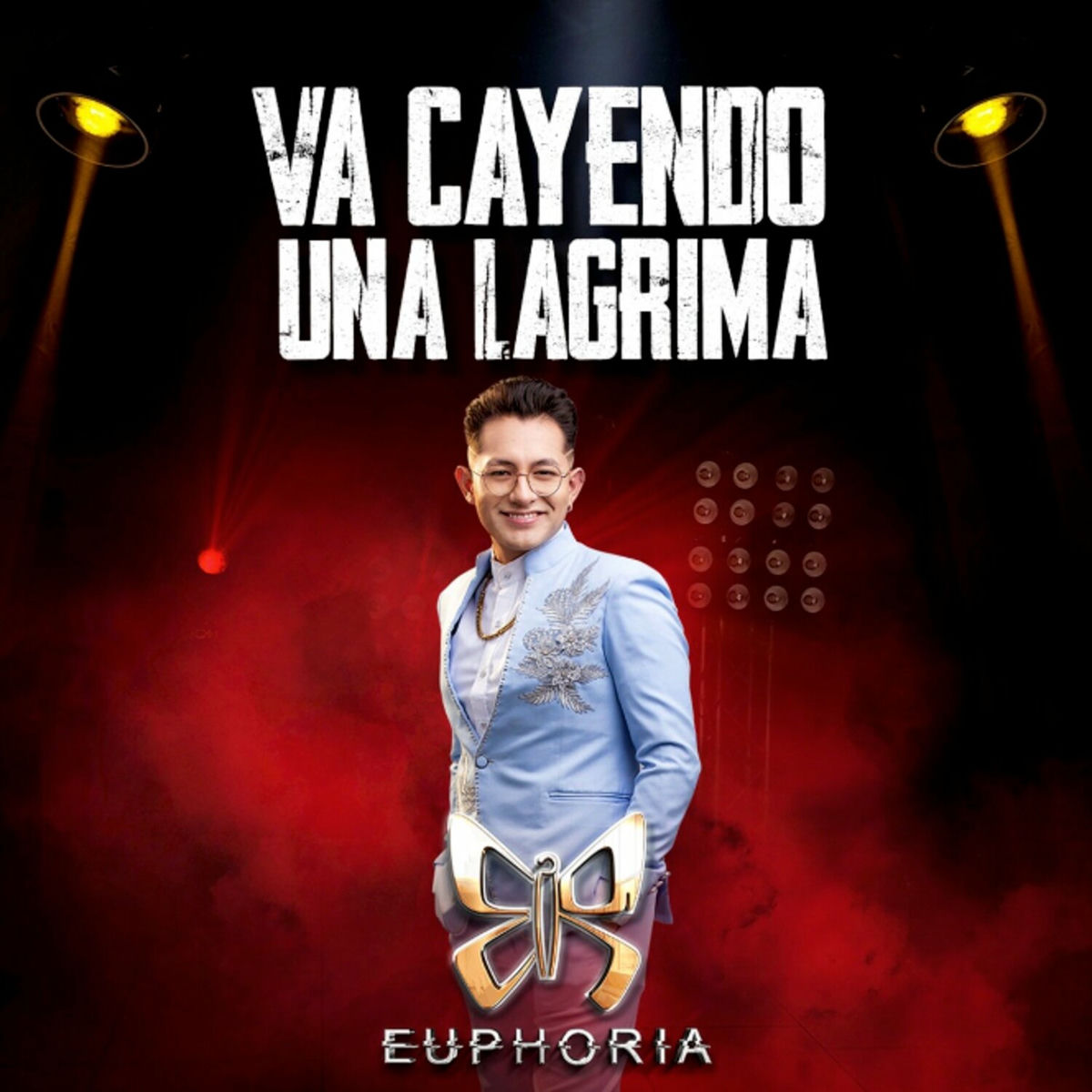 Album cover of VA CAYENDO UNA LAGRIMA