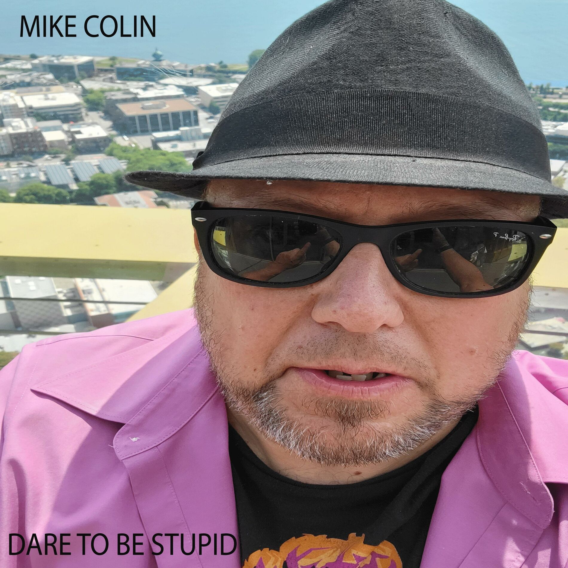 Album cover of Dare to Be Stupid