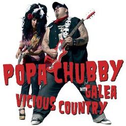 Cover of Vicious Country