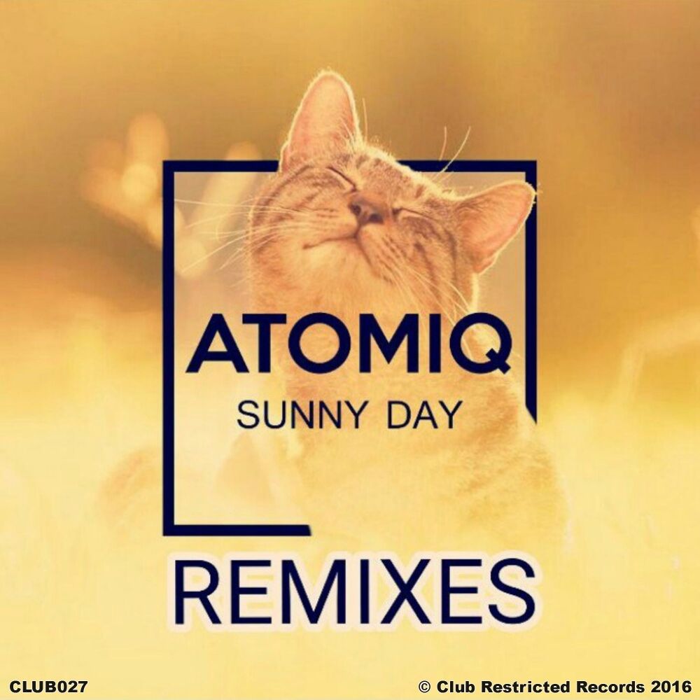 Picture of Sunny Day Remixes
