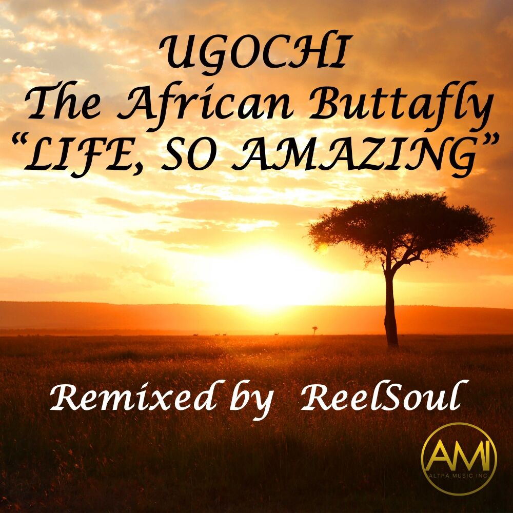 Picture of Life, So Amazing (ReelSoul Remix)