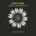Gravity Between Us