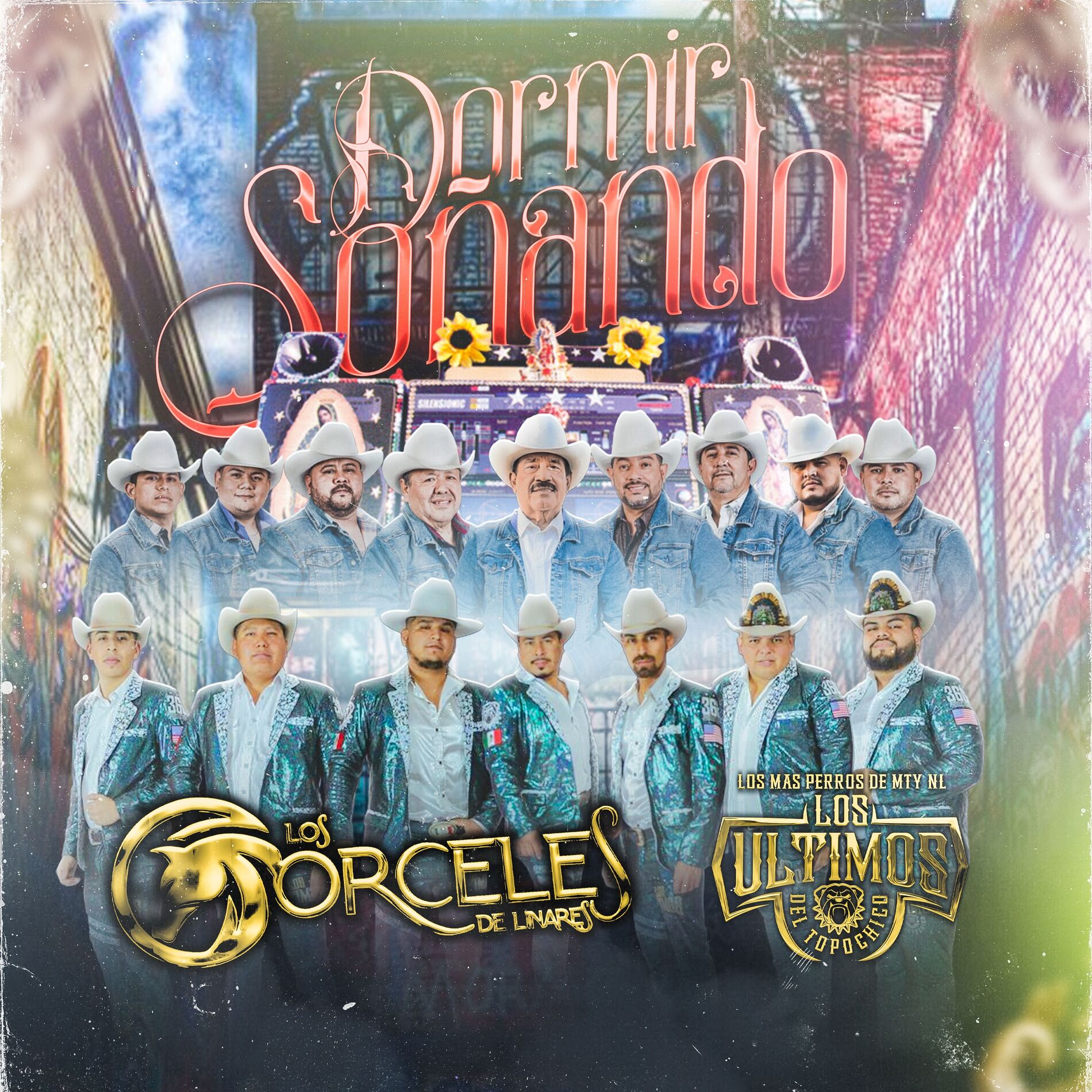 Album cover of Dormir Soñando