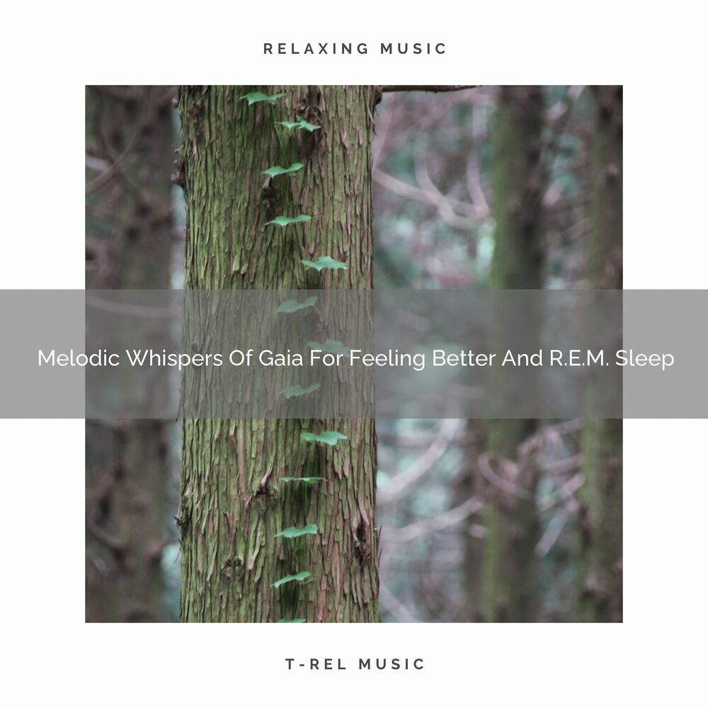 Picture of Melodic Whispers Of Gaia For Feeling Better And R.E.M. Sleep