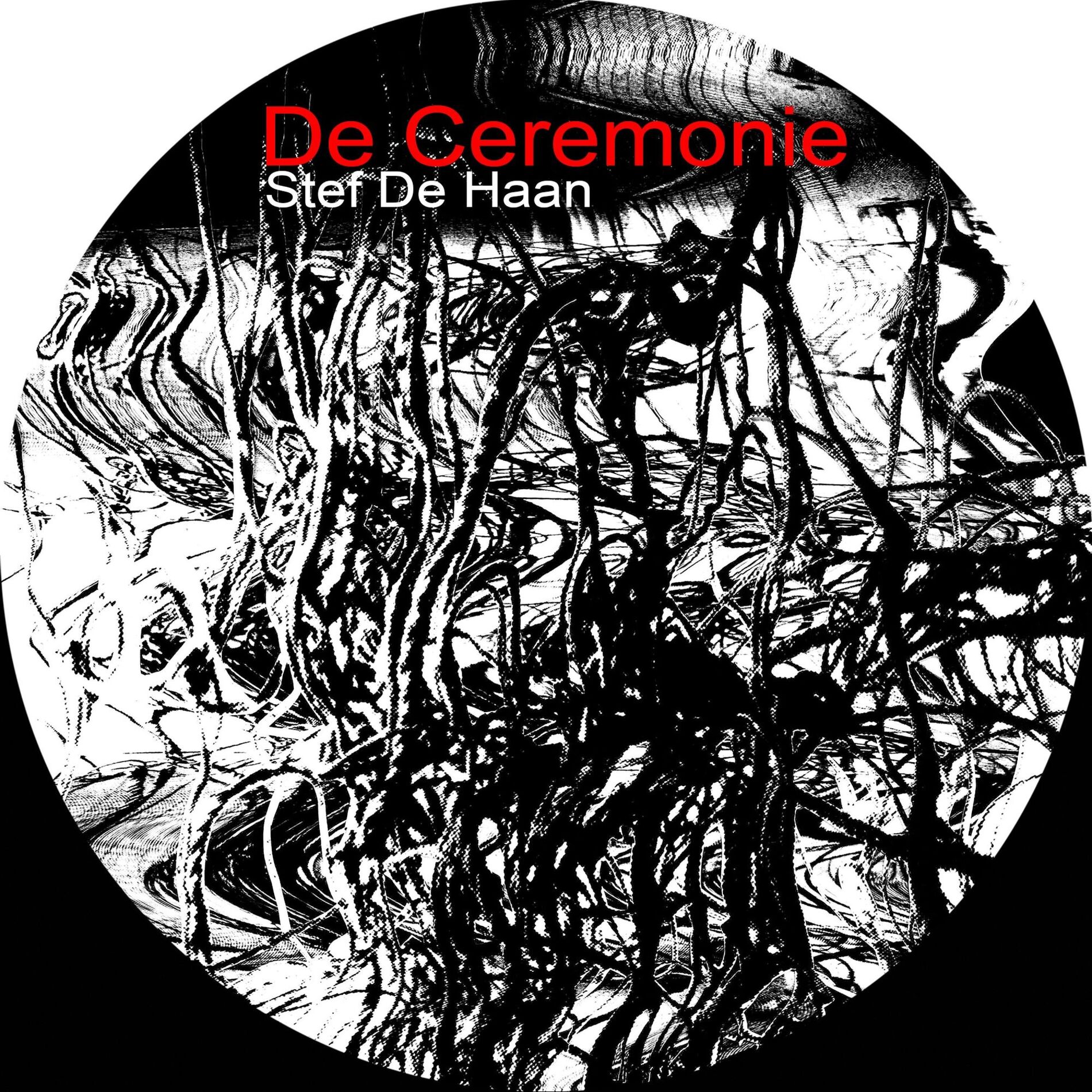 Album cover of De Ceremonie