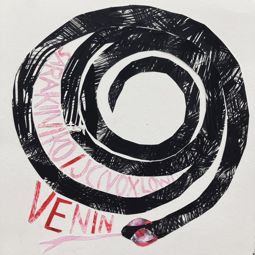 Pochette du titre Venin
