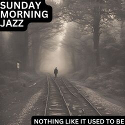 Cover of Nothing Like It Used to Be