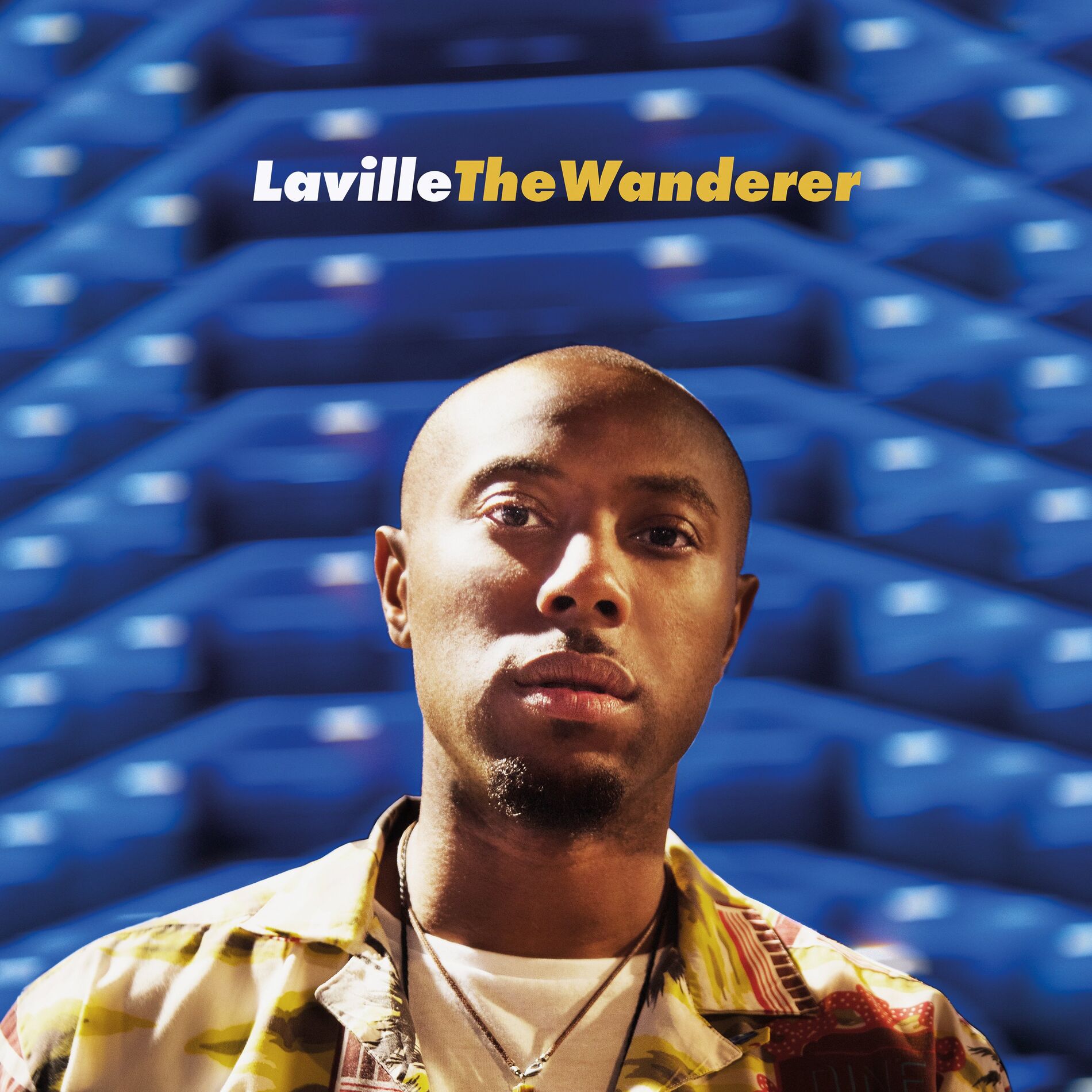 Album cover of The Wanderer