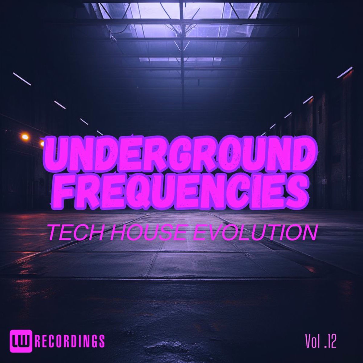 Album cover of Underground Frequencies: Tech-House Evolution, Vol. 12