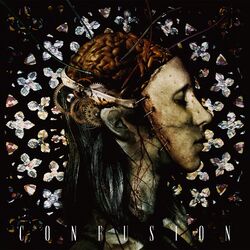 Cover of CONFUSION