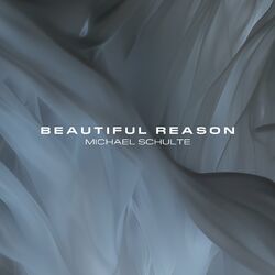 Cover of Beautiful Reason