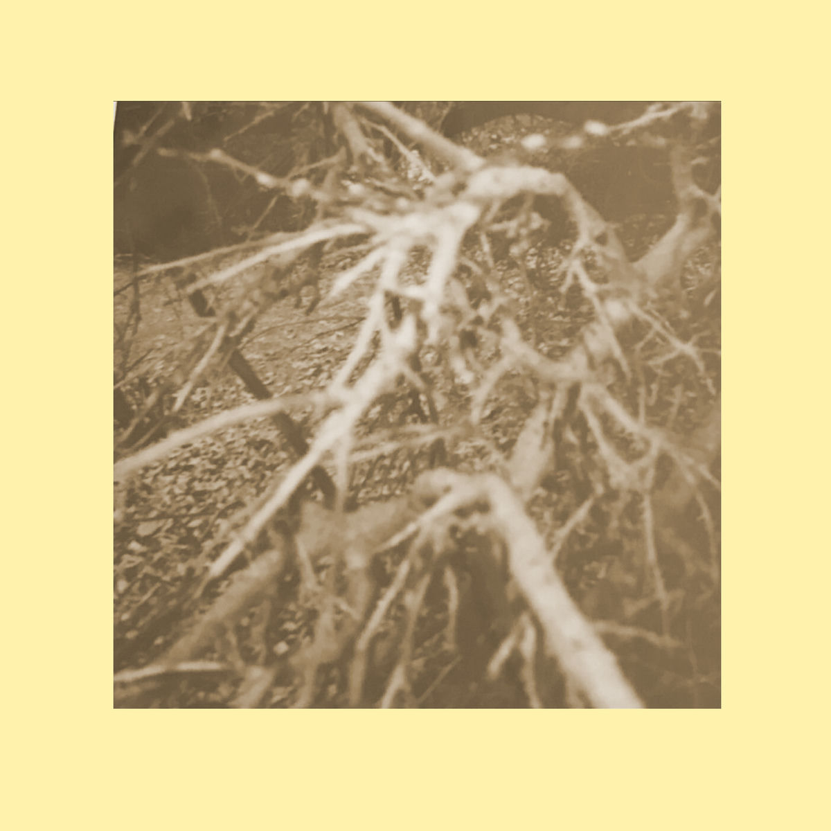 Album cover of So Special