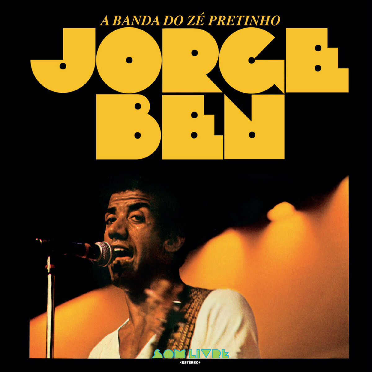 Album cover of Amante Amado