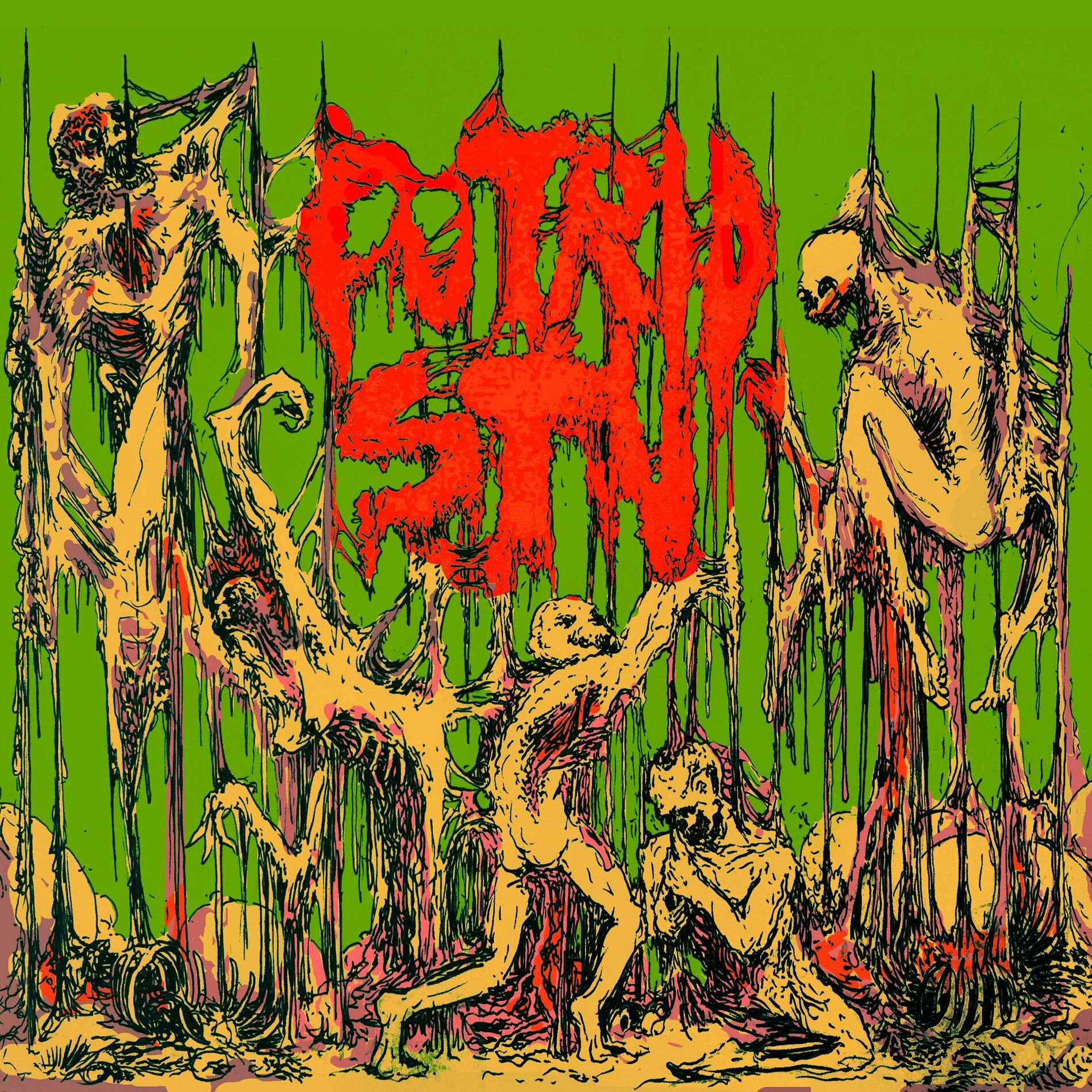 Album cover of Transfigere