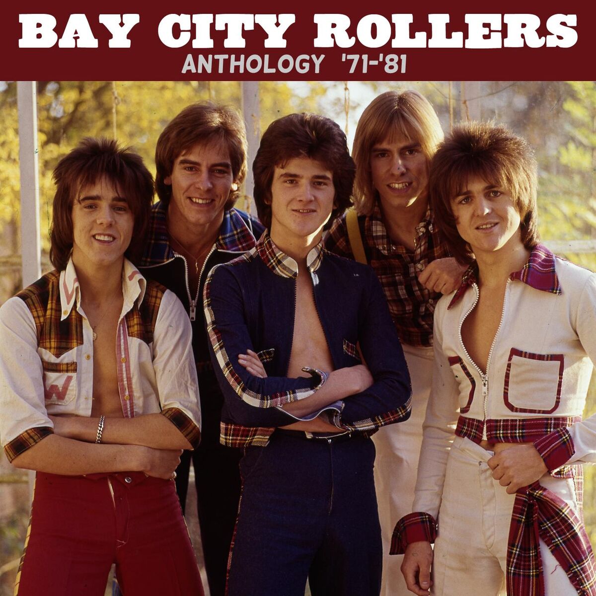 Album cover of Anthology ('71-'81)