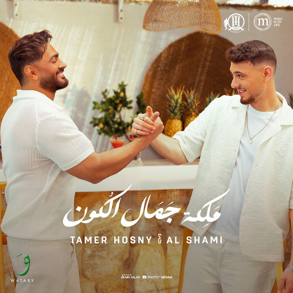 Album cover of Maleket Gamal El Kon