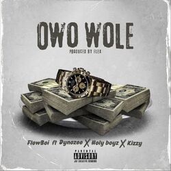 Cover of Owo wole