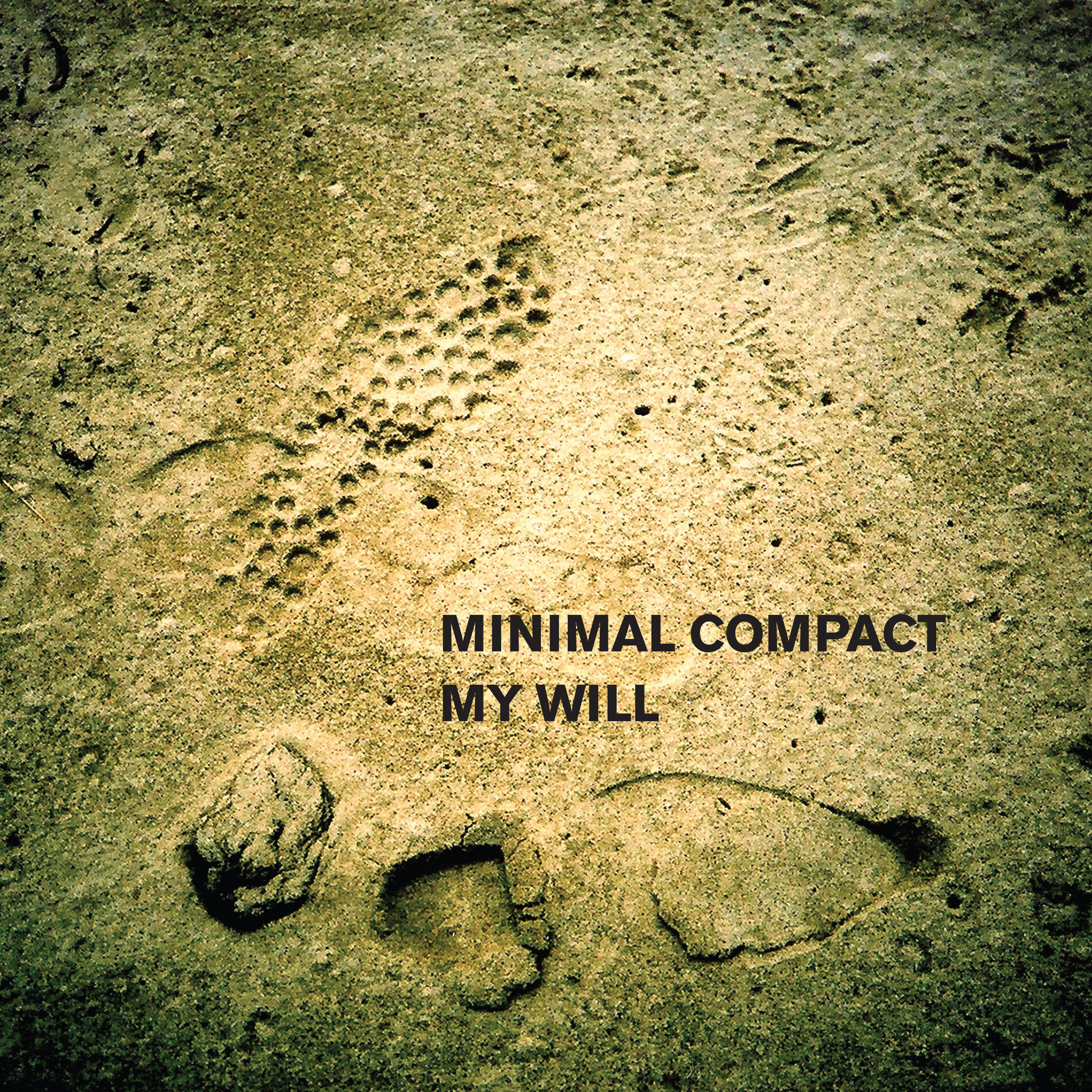 Album cover of My Will (2019 Version)