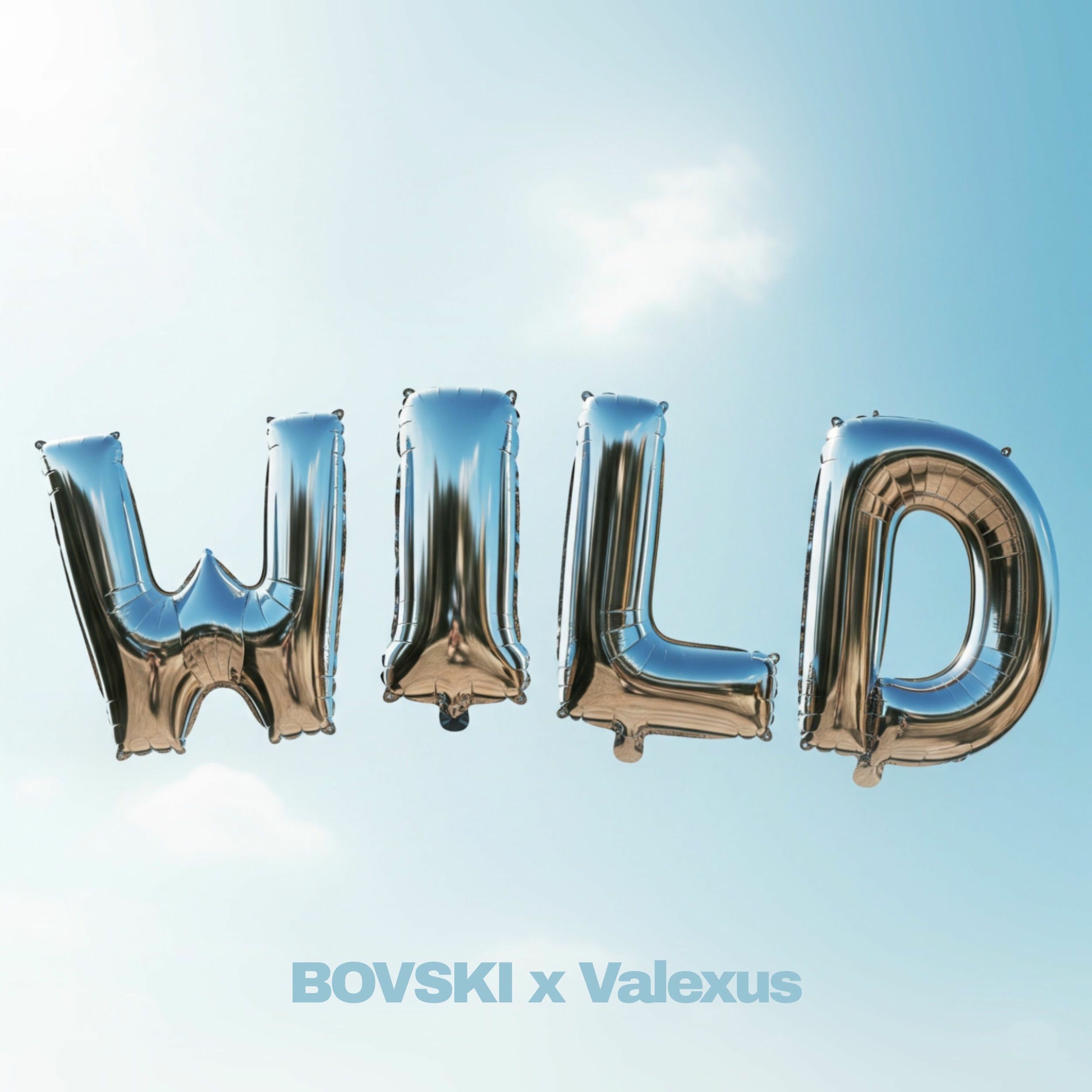 Album cover of WILD