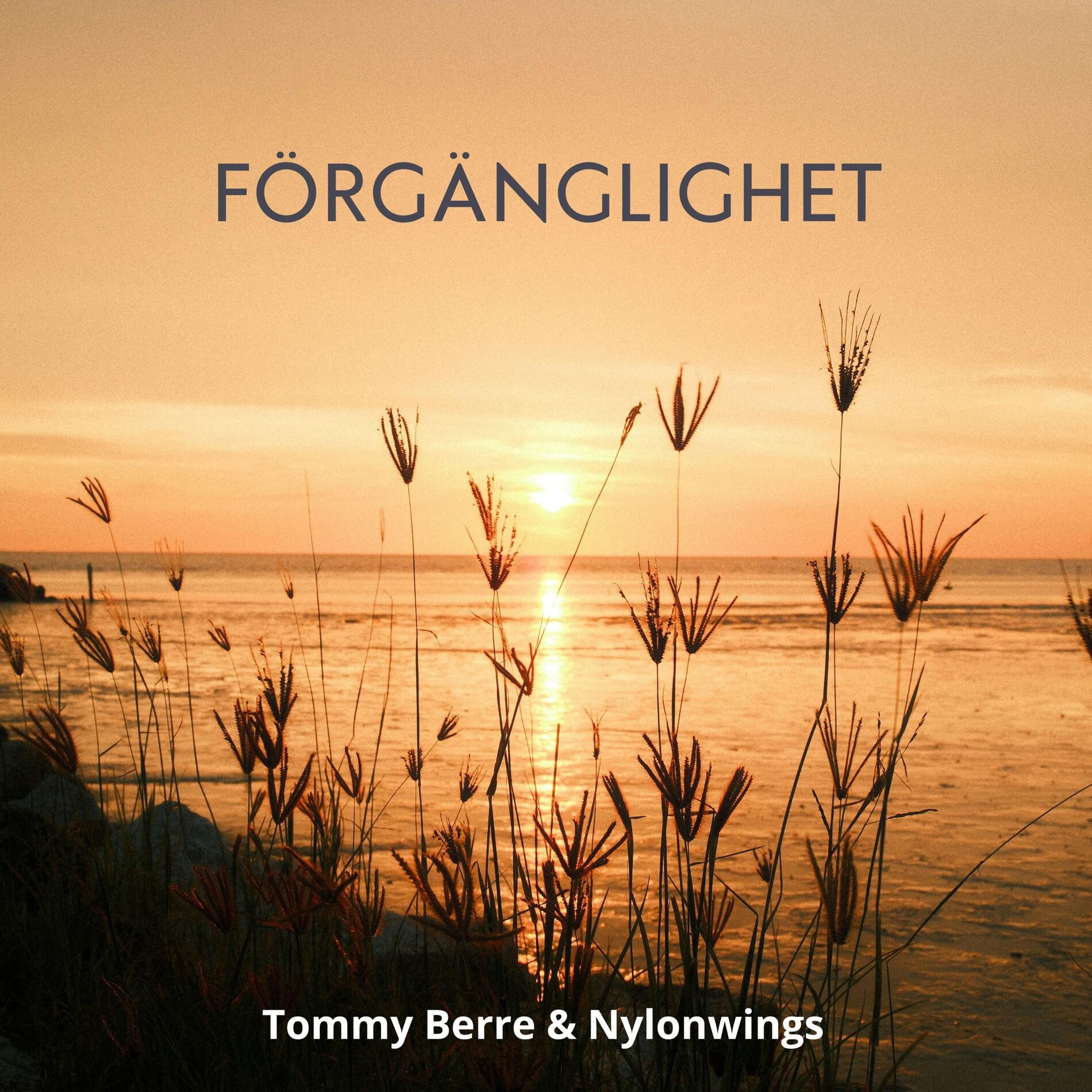 Album cover of Förgänglighet