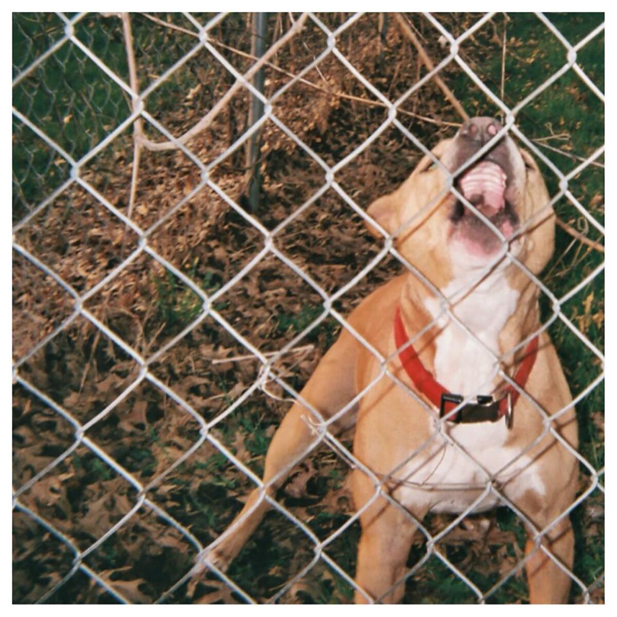 Album cover of All My Friends
