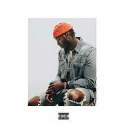 Cover of Madden Flow
