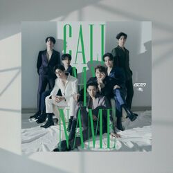 Cover of Call My Name