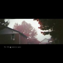 Cover of fog lake / euphoria again
