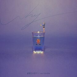 Cover of My Trouble