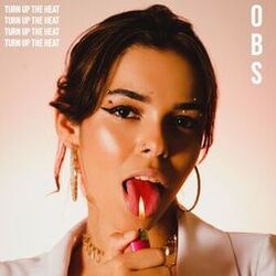 Cover of Turn up the heat