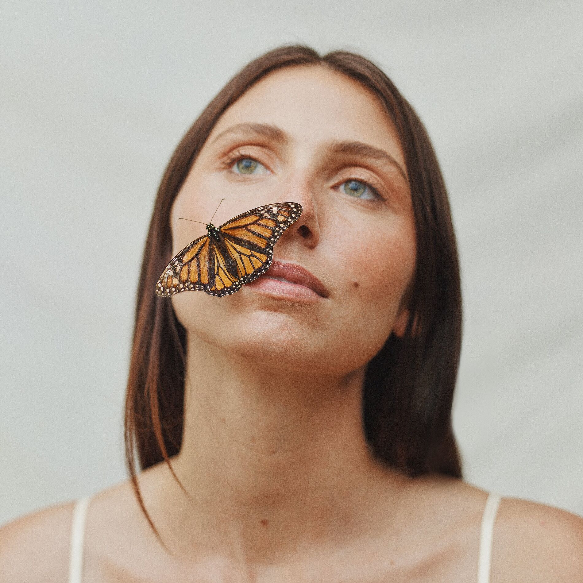 Album cover of Butterfly