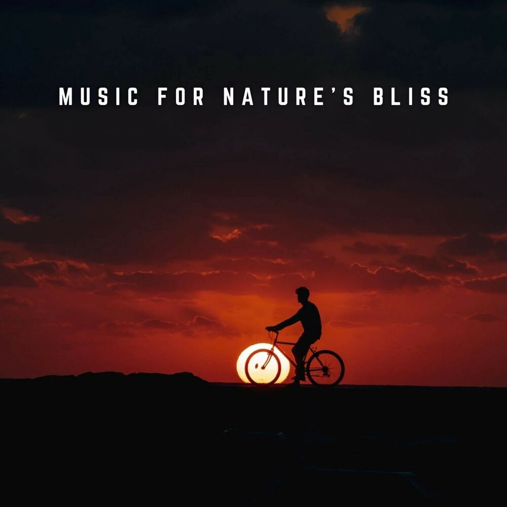 Picture of Music for Nature's Bliss: Waterfall Melodies