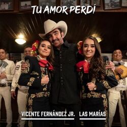 Cover of Tu Amor Perdí