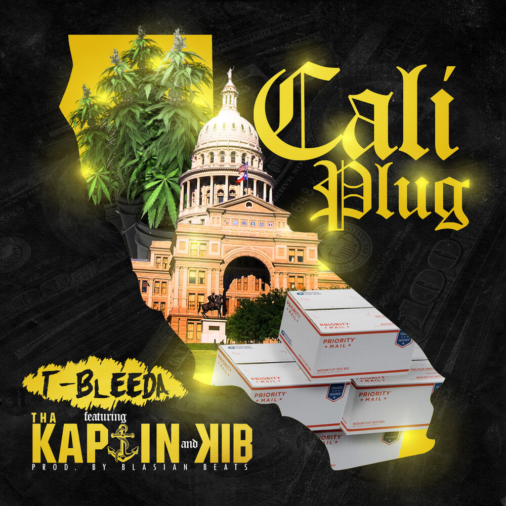 Picture of Cali Plug