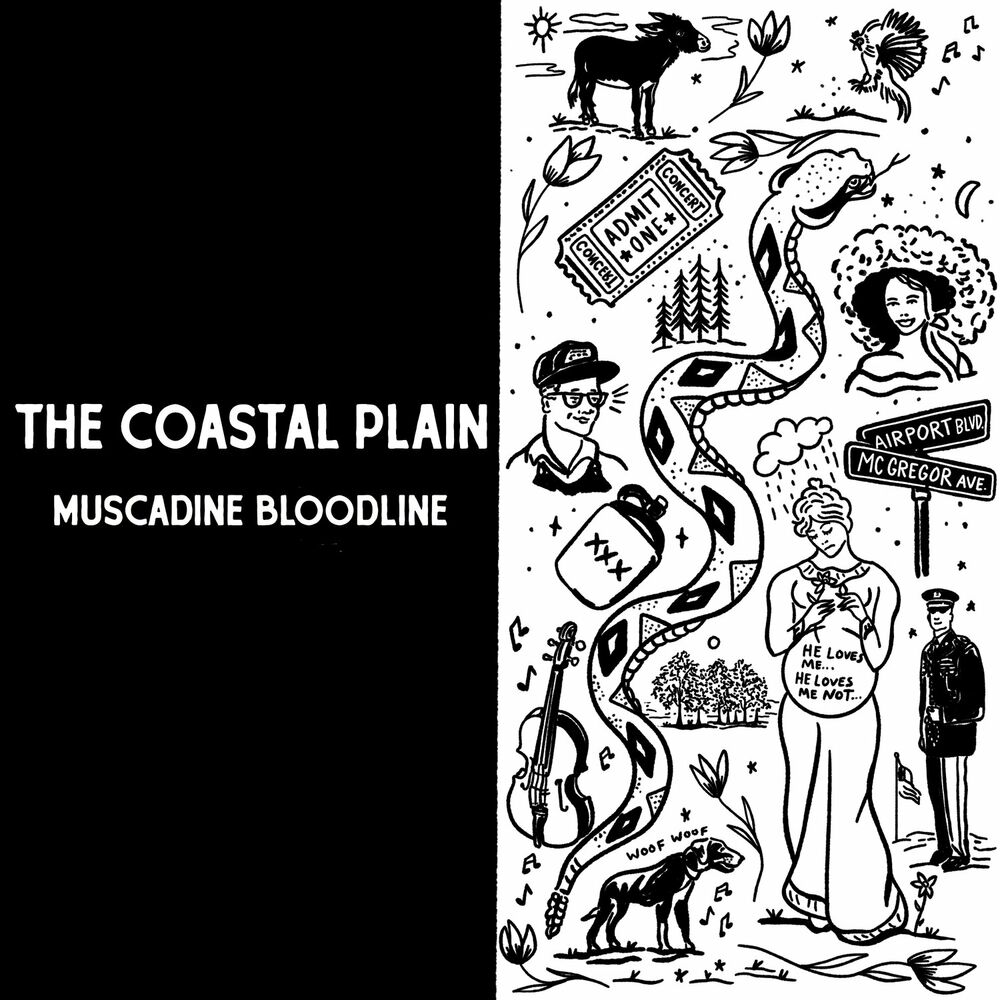 Picture of The Coastal Plain