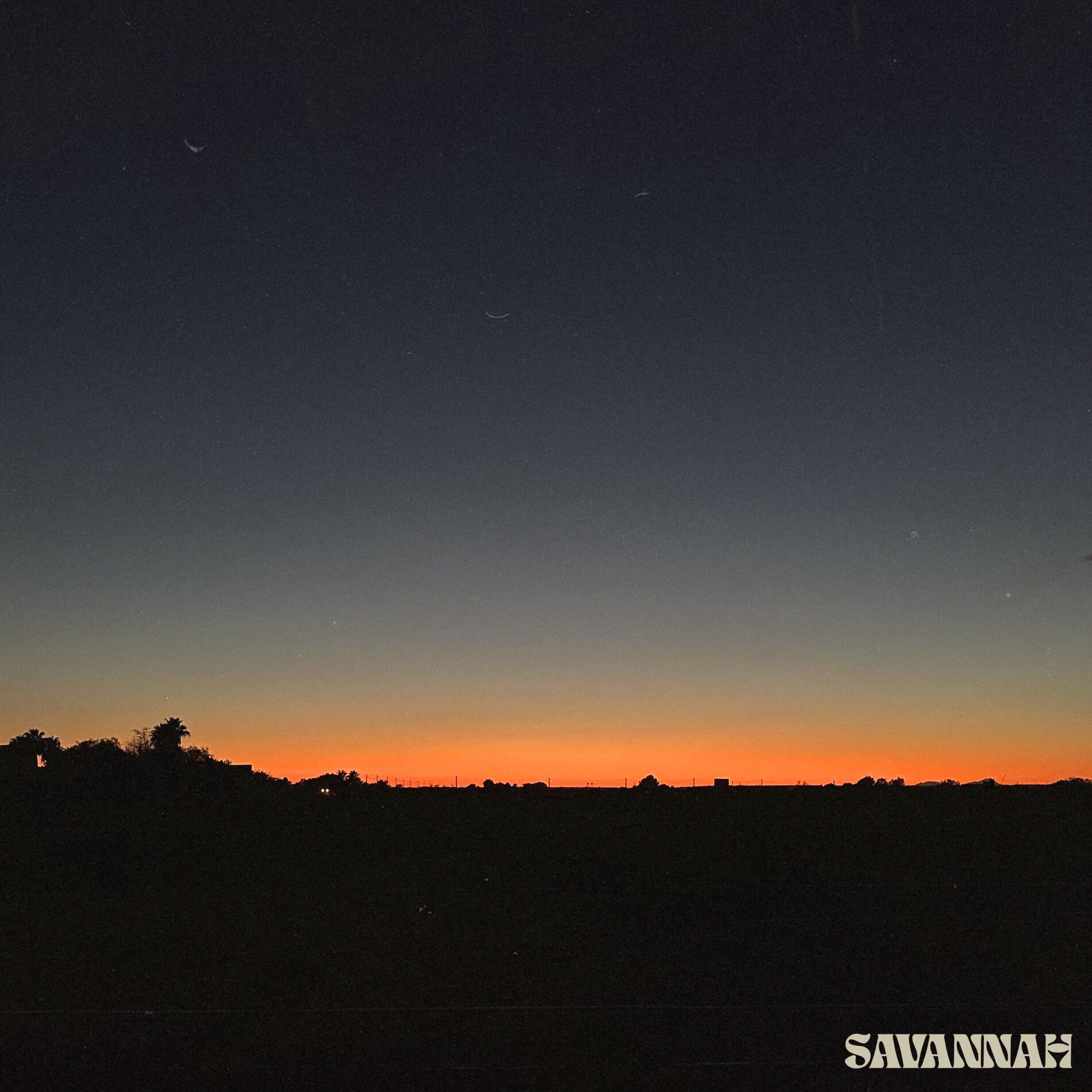 Album cover of Savannah
