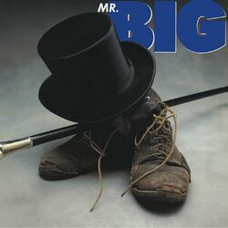 Cover of Mr. Big