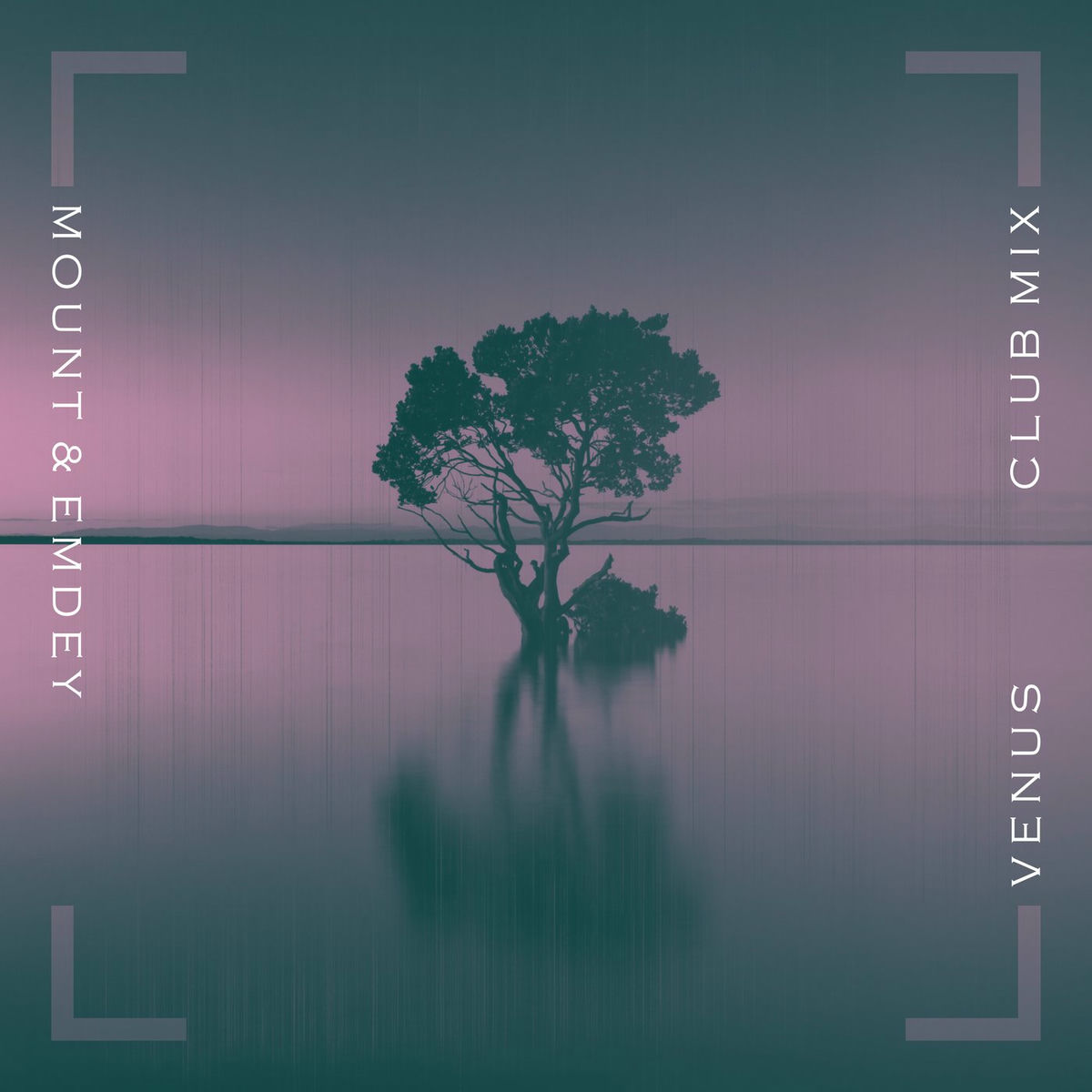 Album cover of Venus (Club Mix)