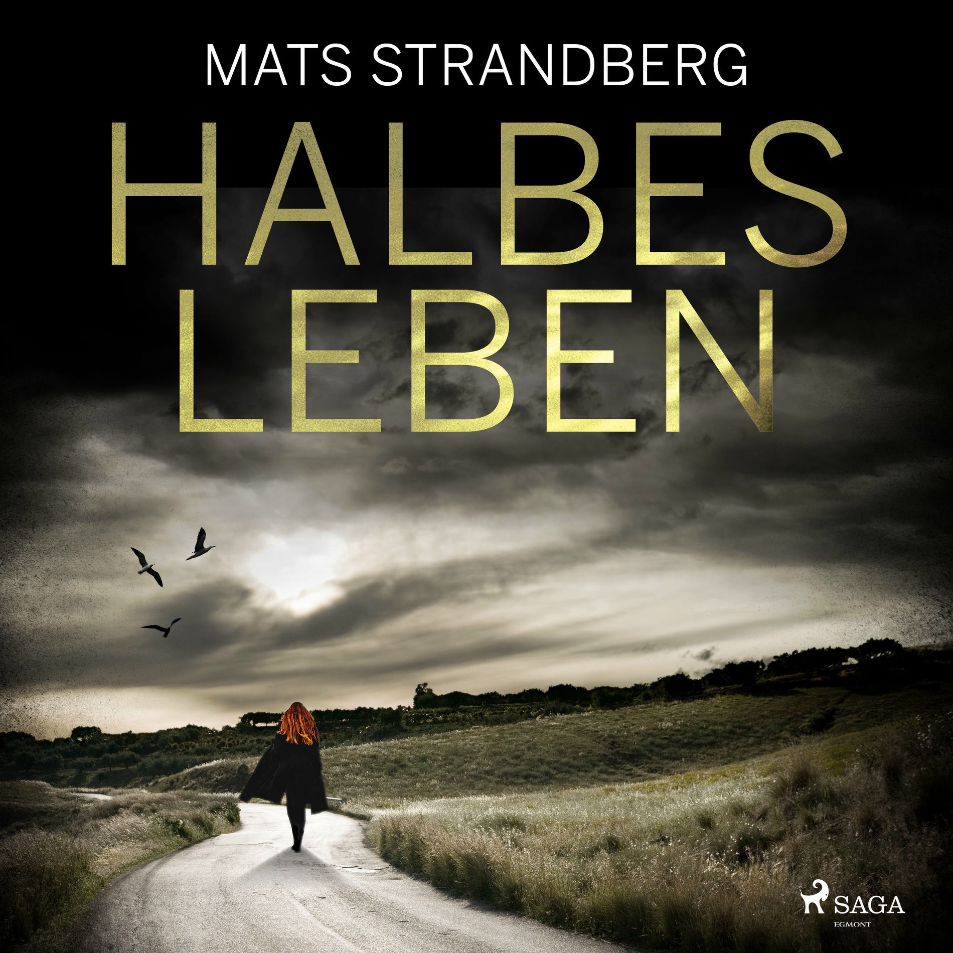 Album cover of Halbes Leben
