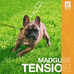 Cover of Tension