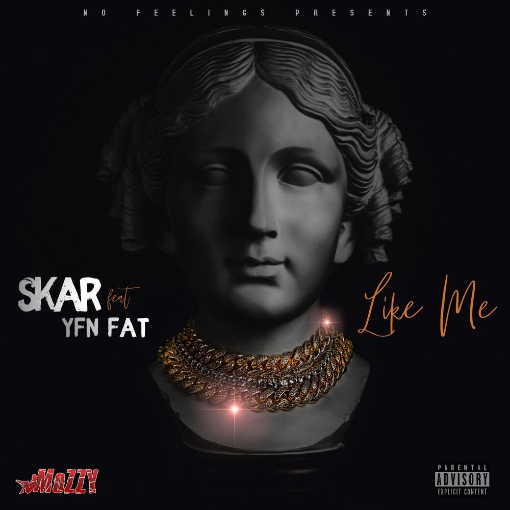 Picture of Like Me (feat. YFN FAT)