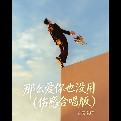 那么爱你也没用 (伤感合唱版)