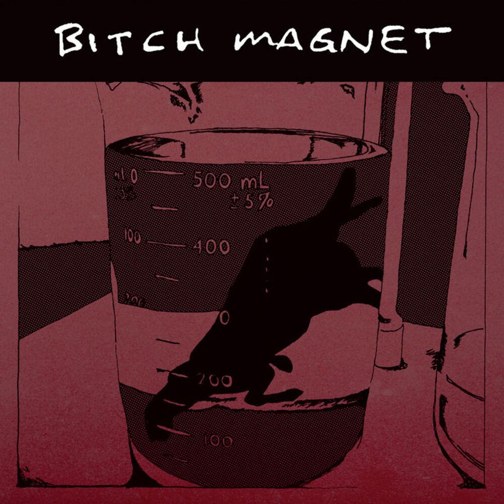 Picture of Bitch Magnet