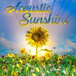 Cover of Acoustic Sunshine