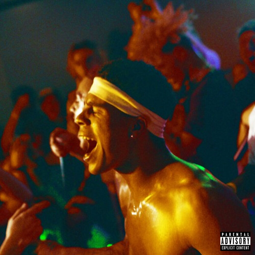 Picture of The Vibe