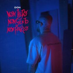 Cover of Non Vedo, Non Sento, Non Parlo