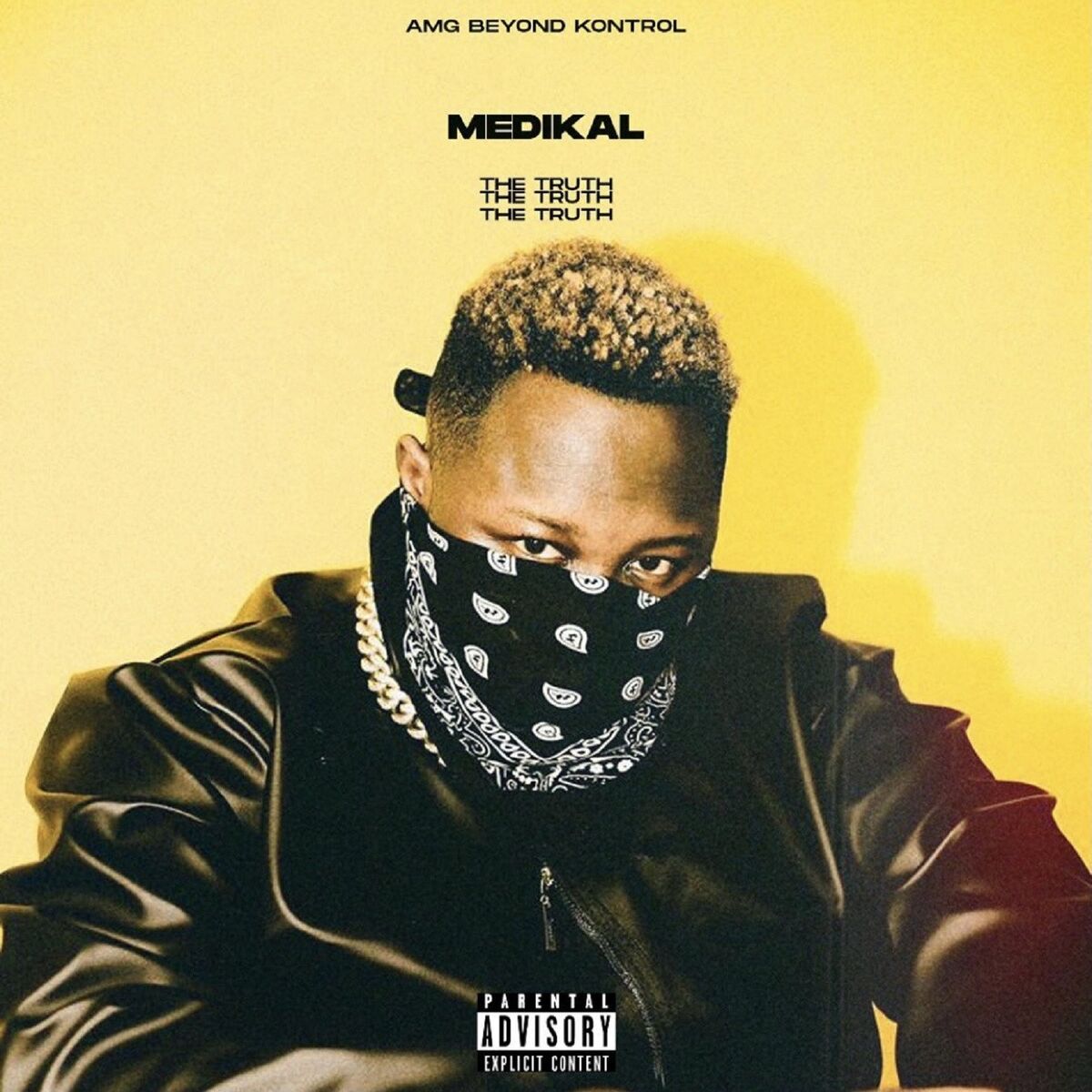 Album cover of The Truth