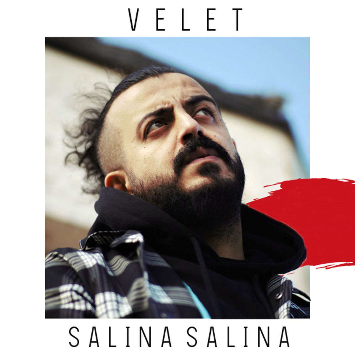 Album picture of Salına Salına